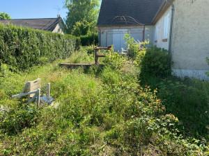 Photo de galerie - Tonte de pelouse - Débroussaillage