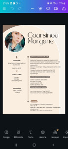 Photo de galerie - Cv 