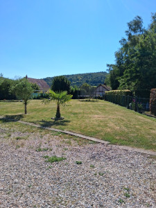 Photo de galerie - Tonte