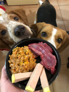 Photo de galerie - Garde animaux