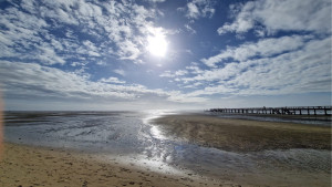 Photo de galerie - Arcachon  la dune aux mille eclats