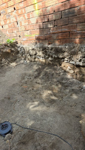 Photo de galerie - Souche après 