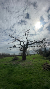 Photo de galerie - Après 