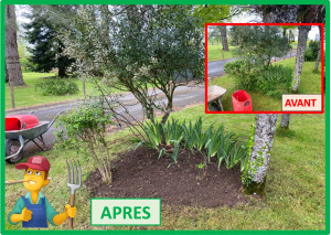 Photo de galerie - Désherbage - Mars 2025