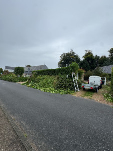 Photo de galerie - Taille de laurier 