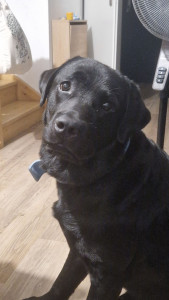 Photo de galerie - Teddy <3