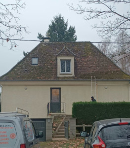 Photo de galerie - Anti mousse d'Alep 