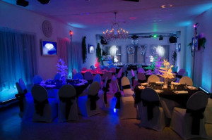 Photo de galerie - DJ - Disc Jockey