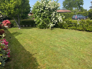 Photo de galerie - Tonte 