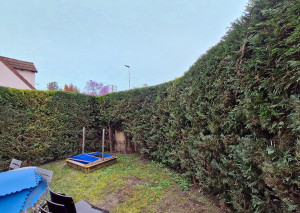 Photo de galerie - Taille de haie