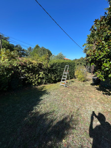 Photo de galerie - Taille de haie à Vertou