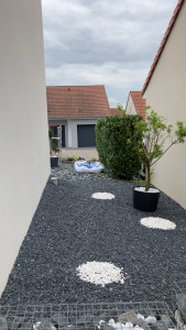 Photo de galerie - Taille de haie 