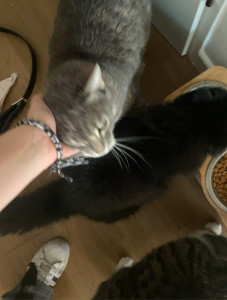 Photo de galerie - J’ai gardé ces 5 petits cœurs pendant deux semaines !?
