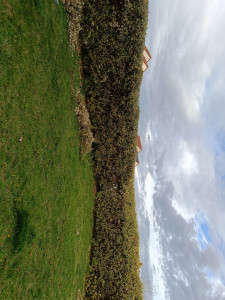 Photo de galerie - Apres