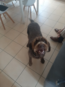 Photo de galerie - Annonce de la balade 