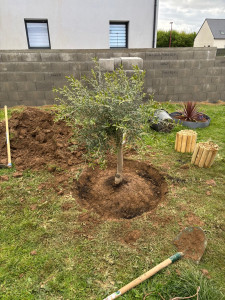 Photo de galerie - Paysagiste - Aménagement du jardin