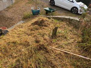 Photo de galerie - Paysagiste - Aménagement du jardin