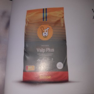 Photo de galerie - Garde chien