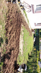 Photo de galerie - Preparation engazonement 