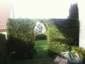 Photo de galerie - Arche 