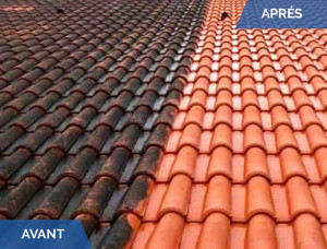 Photo de galerie - Nettoyage toiture avec produit de professionnel agréé pour les nettoyages de votre toiture et protection de vos tuiles 