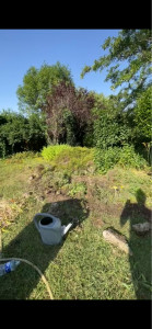 Photo de galerie - Avant intervention 