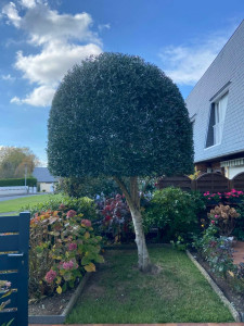 Photo de galerie - Taille ?