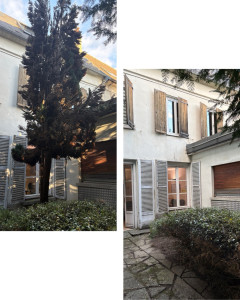 Photo de galerie - Abattage 