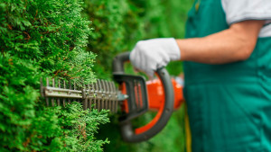 Photo de galerie - Jardinier