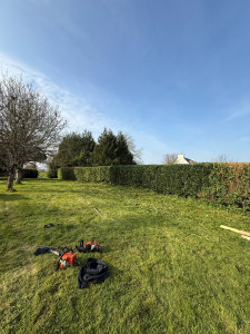 Photo de galerie - Taille de haie