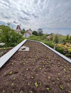 Photo de galerie - Toiture vegetaliser
