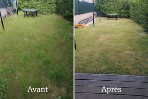 Photo de galerie - Tonte de pelouse - Débroussaillage
