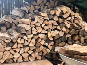 Photo de galerie - Rentrer du bois pour l’hiver