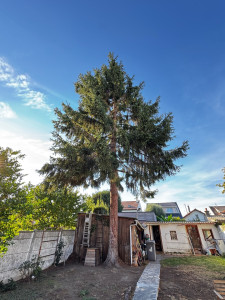 Photo de galerie - APRÈS            