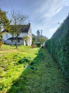 Photo de galerie - Taille de haie
