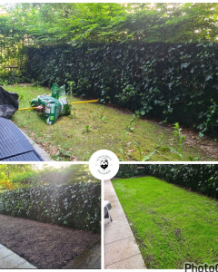 Photo de galerie - Semi gazon ?