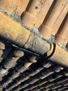 Photo de galerie - Couverture - Toiture