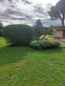 Photo de galerie - Taille d arbuste et Tonte pelouse