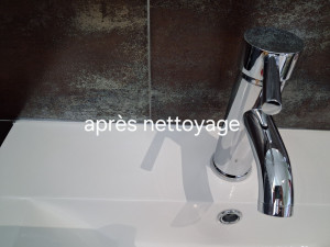 Photo de galerie - Salle de bain après nettoyage 
