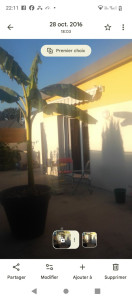 Photo de galerie - Rénovation terrasse plus vitrages 

