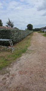 Photo de galerie - Entretien espaces verts 