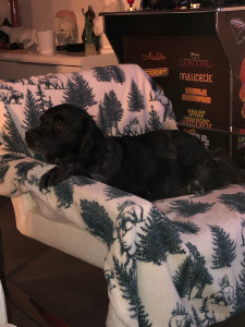 Photo de galerie - Je suis bien là !