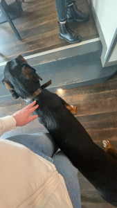 Photo de galerie - .