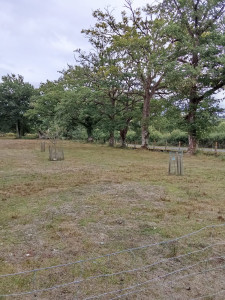 Photo de galerie - Entretien 1 hectare 