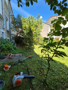 Photo de galerie - Tonte de pelouse - Débroussaillage