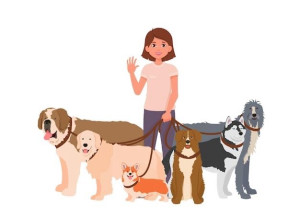 Photo de galerie - Promenade et garde avec douceur , également chats et autres animaux 