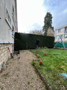 Photo de galerie - Taille de haies et d'arbustes