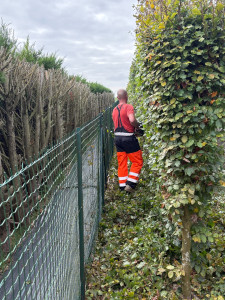 Photo de galerie - Taille