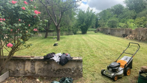 Photo de galerie - Tonte de pelouse - Débroussaillage