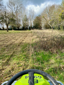 Photo de galerie - Débroussaillage d’un champ 